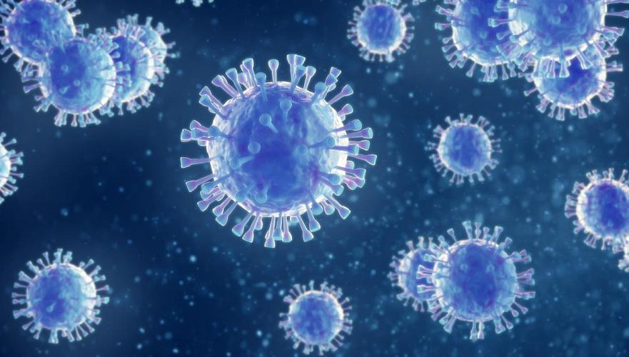 Eight people died from COVID-19 and pneumonia with signs of coronavirus in Kazakhstan per day