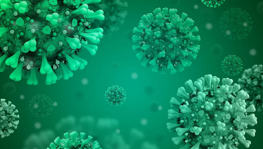 Циркуляция «Стелс-Омикрон» штамма коронавируса выявлена в Казахстане