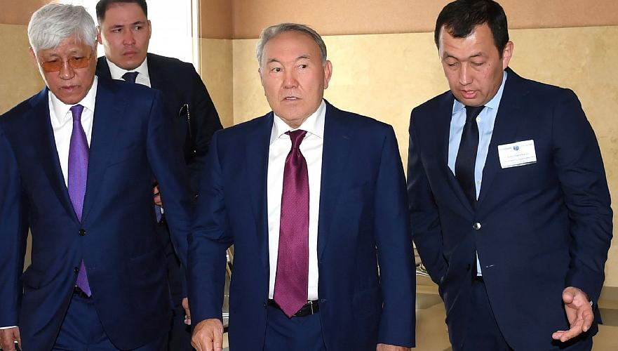 Назарбаев дал положительную оценку развитию Алматинской области