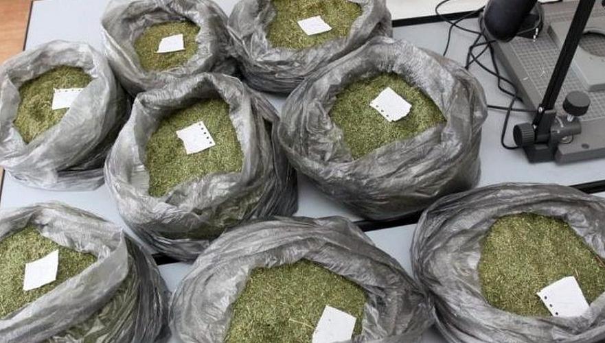 Около 100 кг марихуаны изъяли в одной из квартир в Актау