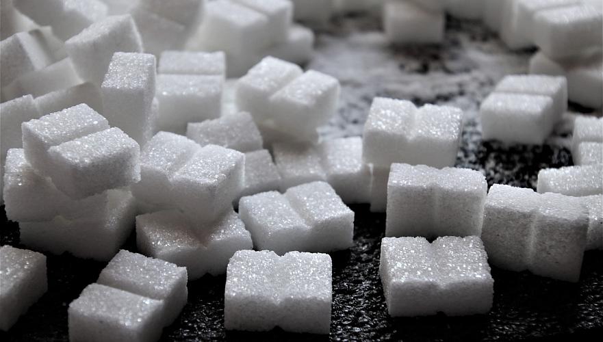 Еще один сахарный завод планируют построить в Казахстане