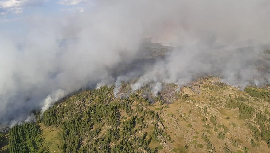 2,8 тыс. га превысила площадь пожара в Бахтинском лесничестве в Карагандинской области