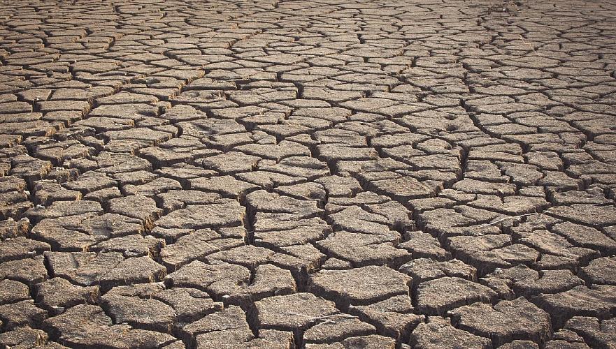 Засуха ожидается в июне в ряде регионов Казахстана