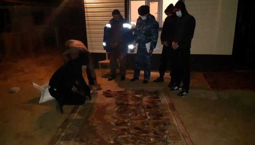 167 рогов сайгака изъяли у жителя Актюбинской области