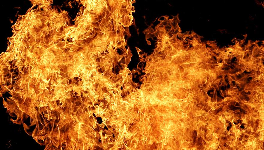 При пожаре в Наурзумском заповеднике погиб человек