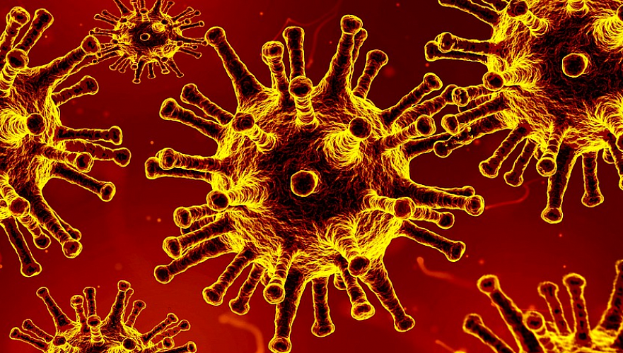 440 человек заразились за сутки коронавирусом и пневмонией с признаками COVID-19 в РК