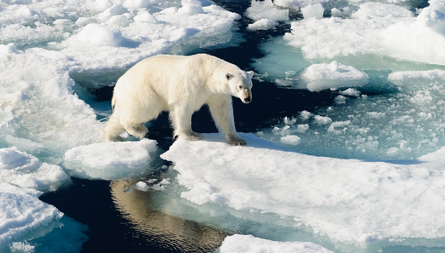 ООН о самом жарком июне за историю наблюдений: Площадь льдов Арктики рекордно сократилась