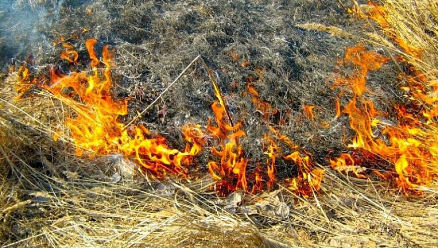 Огонь уничтожил 12 тонн сена у сельчанина в ЗКО