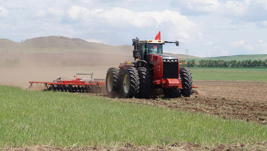 На 1,3% увеличат площадь размещения сельхозкультур в 2019 году в Казахстане