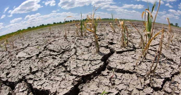 Казахстан назван самым неэффективным по водопользованию в орошаемом земледелии в ЦА 