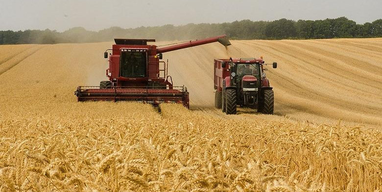 Минсельхоз Казахстана заявил об уборке зерновых и зернобобовых с 99,7% их площади