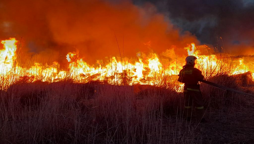 Природный пожар распространился сразу на три района Павлодарской области