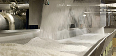 Простаивающий сахарный завод в области Жетысу планируют запустить в марте