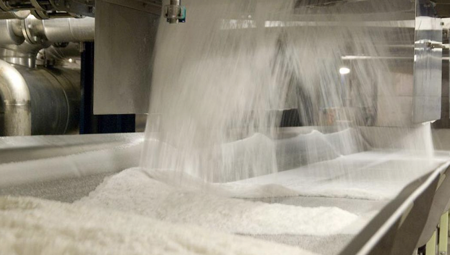 Простаивающий сахарный завод в области Жетысу планируют запустить в марте