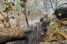 С 14 работниками лесничеств потеряна связь в районе крупного лесного пожара в области Абай